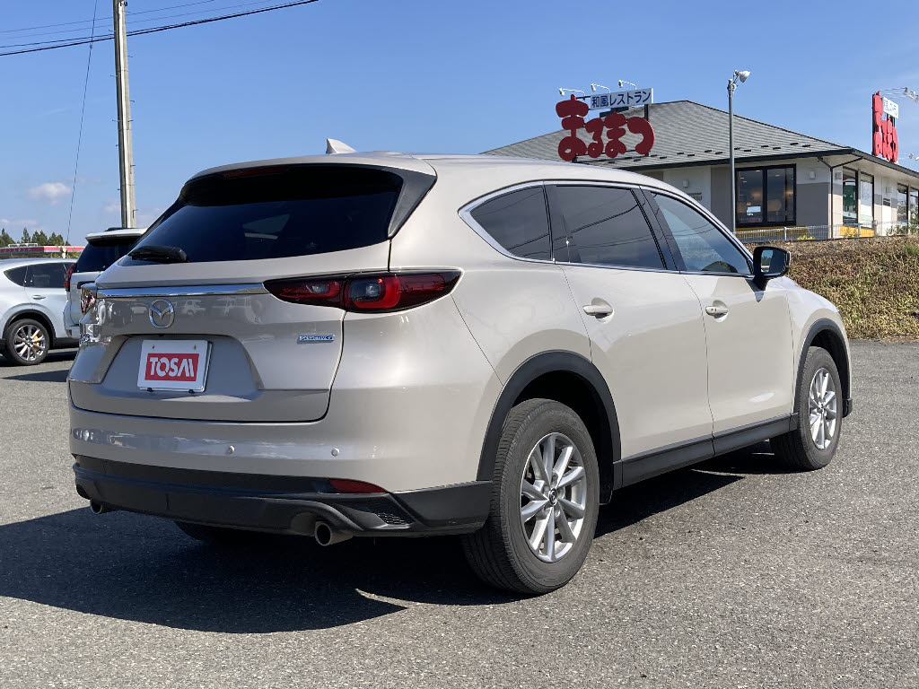 マツダ ＣＸ－８ 4WD　25Sｽﾏｰﾄｴﾃﾞｨｼｮﾝ　6AT　