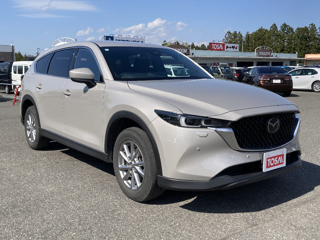 マツダ ＣＸ－８ 4WD　25Sｽﾏｰﾄｴﾃﾞｨｼｮﾝ　6AT　