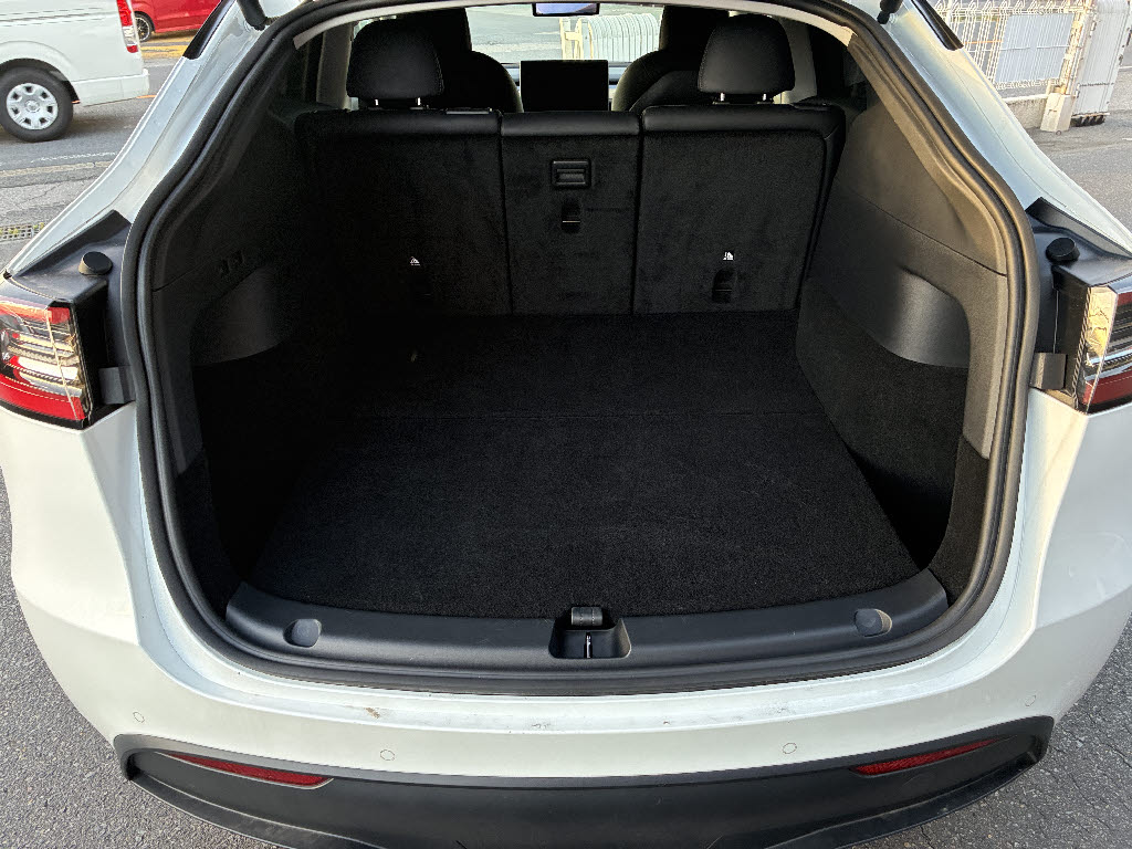 その他輸入車 テスラ モデルＹ ＡＷＤ　パフォーマンス