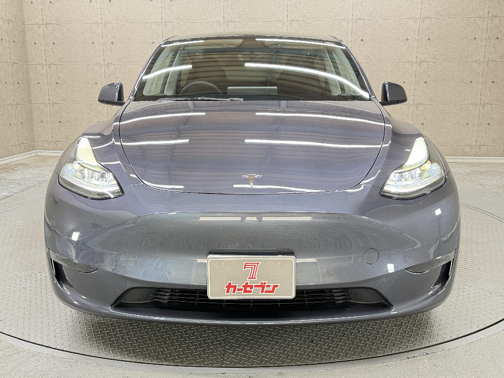 その他輸入車 テスラ モデルＹ ＡＷＤ　パフォーマンス