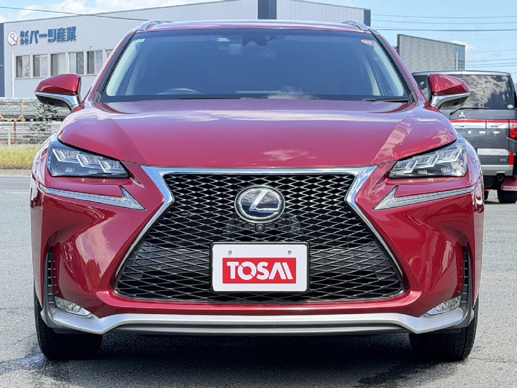 レクサス レクサス ＮＸ NX300hﾊﾞｰｼﾞｮﾝL