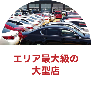 エリア最大級の大型店